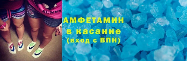 хмурый Аркадак