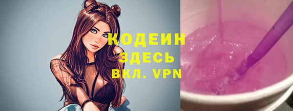 хмурый Аркадак