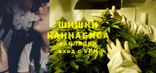 хмурый Аркадак