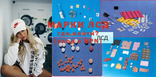 хмурый Аркадак