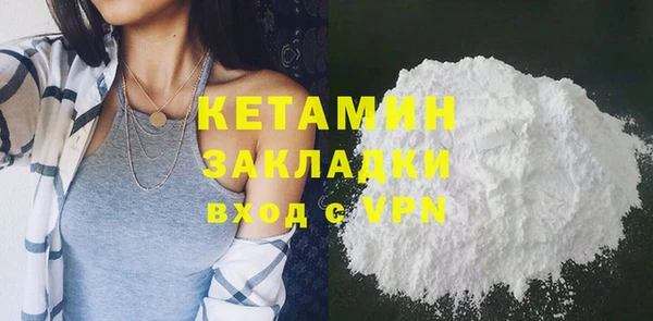 хмурый Аркадак