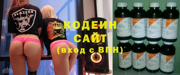 хмурый Аркадак
