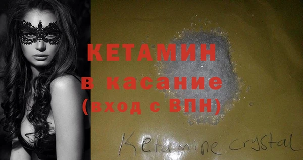 хмурый Аркадак